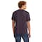 Next Level Vintage Colors Unisex Tri-Blend T-Shirt